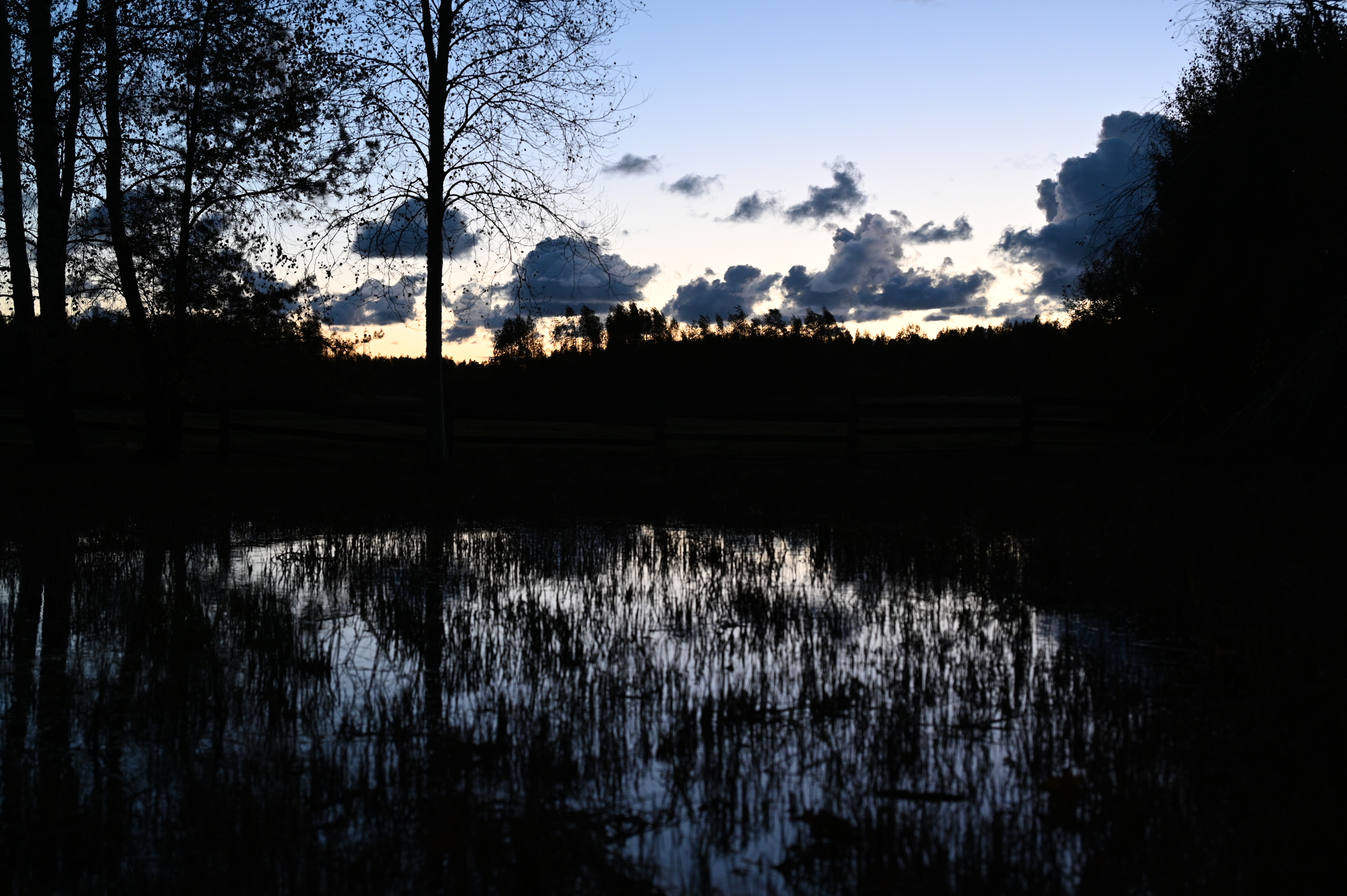 2025/10/18 - walk/DSC_0654.JPG